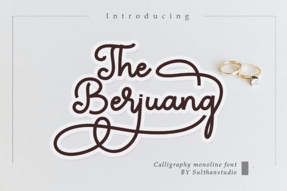 Berjuang: The Handwritten Font That Gave My Brand a Fresh, Polished Look