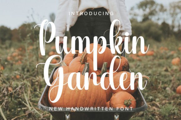 How a Handwritten Font Transformed My Small Business Branding